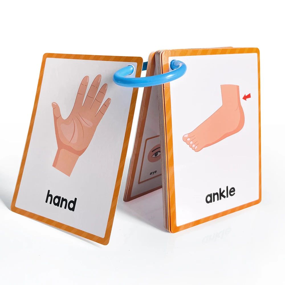 Montessori Kids English Words Learning Flashcards Early Educational Cards Classroom Supplies Kindergarten Teacher Teaching Aids