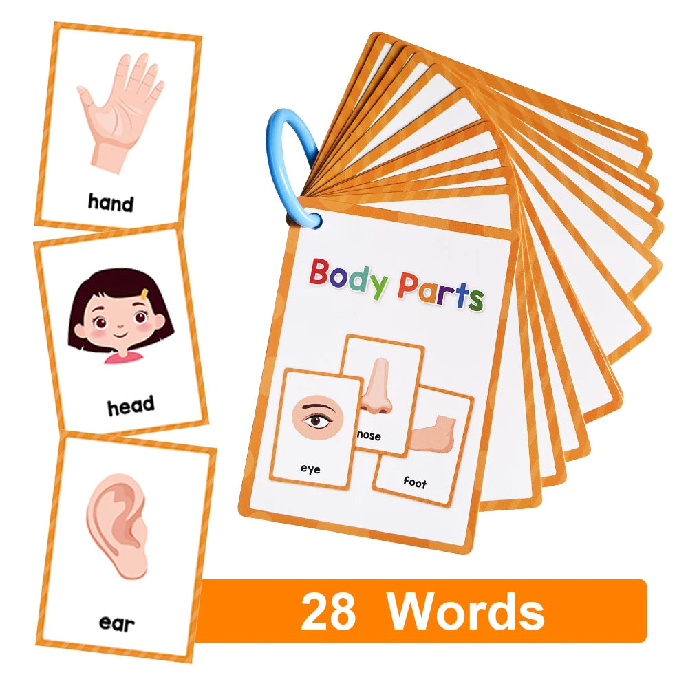 Montessori Kids English Words Learning Flashcards Early Educational Cards Classroom Supplies Kindergarten Teacher Teaching Aids